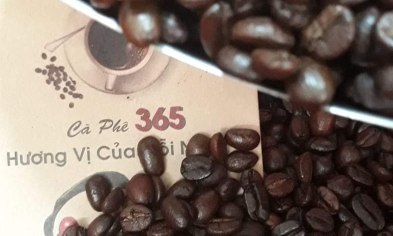 Rang cà phê tại xưởng