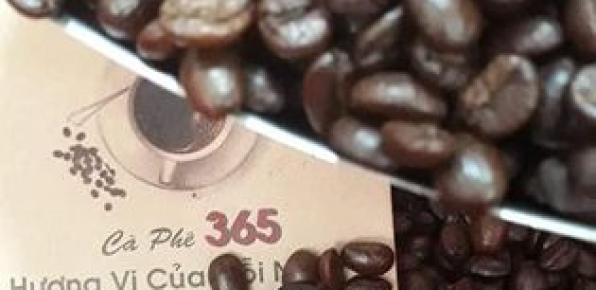 CÀ PHÊ 365 HẠT PHA MÁY GU NHẠT